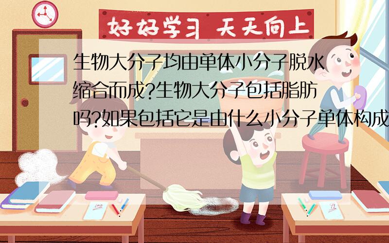 生物大分子均由单体小分子脱水缩合而成?生物大分子包括脂肪吗?如果包括它是由什么小分子单体构成?