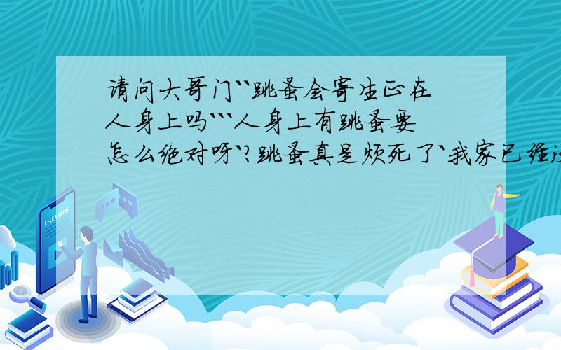 请问大哥门``跳蚤会寄生正在人身上吗```人身上有跳蚤要怎么绝对呀`?跳蚤真是烦死了`我家已经没猫1个月了``可还是有跳蚤`请问是怎么会事呀`?