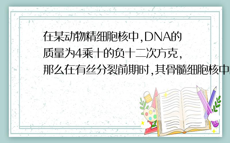 在某动物精细胞核中,DNA的质量为4乘十的负十二次方克,那么在有丝分裂前期时,其骨髓细胞核中的DNA的质量