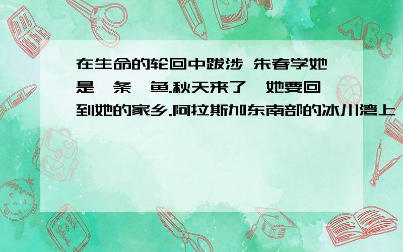 在生命的轮回中跋涉 朱春学她是一条鲑鱼.秋天来了,她要回到她的家乡.阿拉斯加东南部的冰川湾上,此刻正生机勃勃.森林里有一条缓缓流淌的小溪,那就是她的家乡,那就是她出生的地方.、本