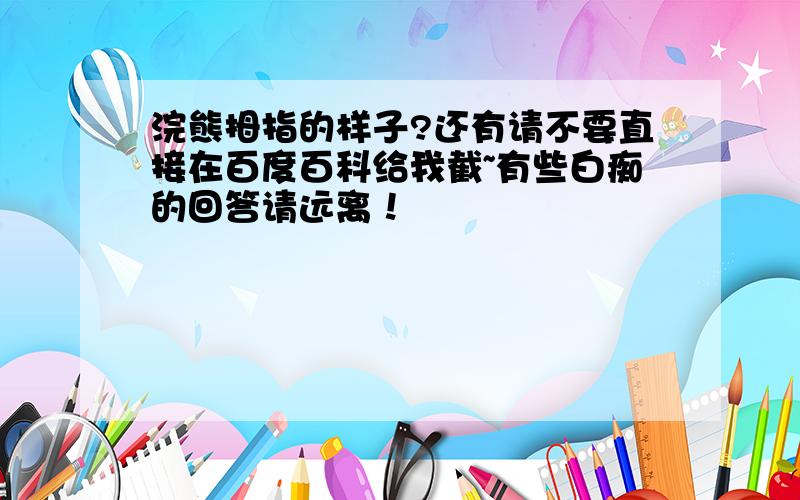 浣熊拇指的样子?还有请不要直接在百度百科给我截~有些白痴的回答请远离！