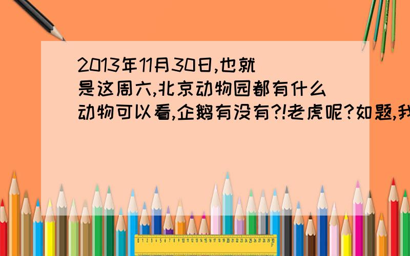 2013年11月30日,也就是这周六,北京动物园都有什么动物可以看,企鹅有没有?!老虎呢?如题,我想明天去动物园玩.想看企鹅!北极熊,老虎,不知道能不能看到