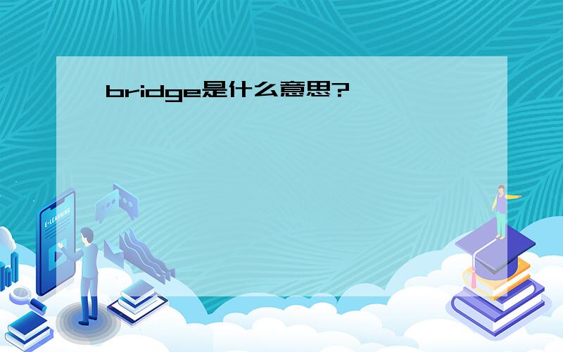 bridge是什么意思?