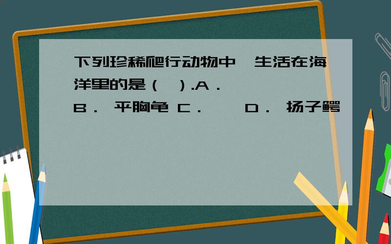 下列珍稀爬行动物中,生活在海洋里的是（ ）.A． 玳瑁 B． 平胸龟 C． 鼋 D． 扬子鳄