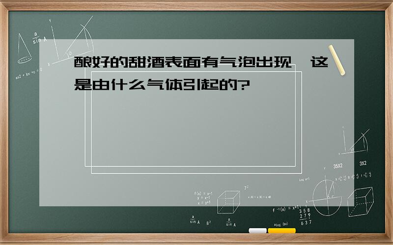 酿好的甜酒表面有气泡出现,这是由什么气体引起的?