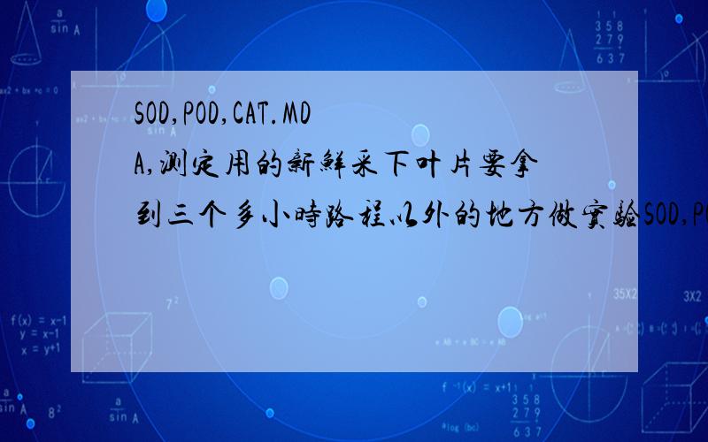 SOD,POD,CAT.MDA,测定用的新鲜采下叶片要拿到三个多小时路程以外的地方做实验SOD,POD,CAT.MDA,测定用的新鲜采下叶片要拿到两小时路程以外的地方做实验,把采下叶片放在带有冰块的保温杯里保存