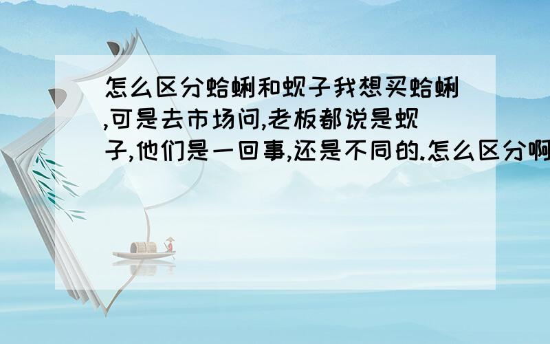 怎么区分蛤蜊和蚬子我想买蛤蜊,可是去市场问,老板都说是蚬子,他们是一回事,还是不同的.怎么区分啊