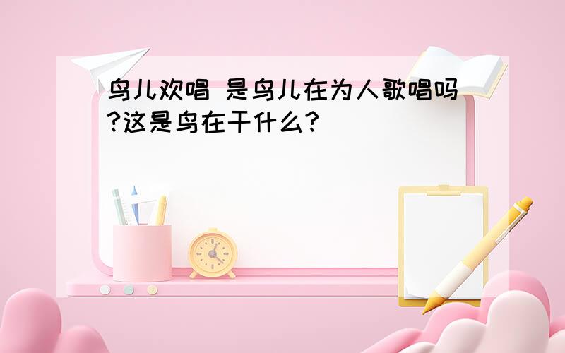 鸟儿欢唱 是鸟儿在为人歌唱吗?这是鸟在干什么?