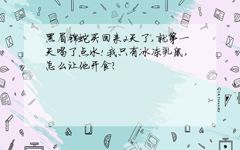 黑眉锦蛇买回来2天了,就第一天喝了点水!我只有冰冻乳鼠,怎么让他开食?