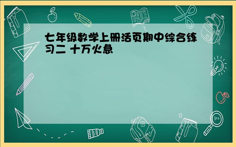 七年级数学上册活页期中综合练习二 十万火急