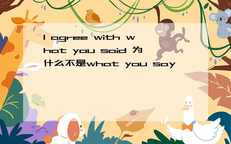 I agree with what you said 为什么不是what you say