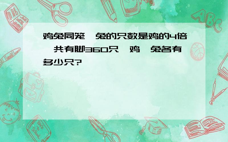 鸡兔同笼,兔的只数是鸡的4倍,共有脚360只,鸡、兔各有多少只?