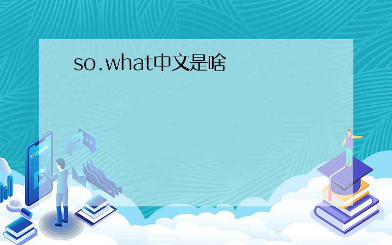 so.what中文是啥