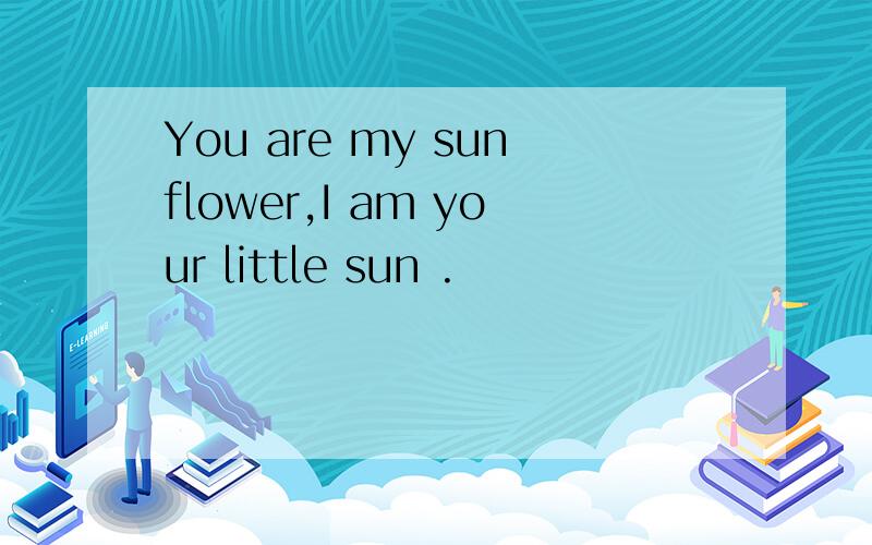 You are my sunflower,I am your little sun .