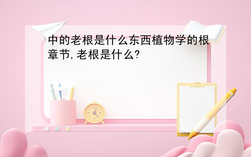 中的老根是什么东西植物学的根章节,老根是什么?