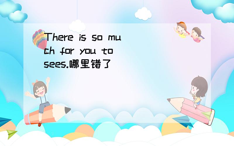 There is so much for you to sees.哪里错了