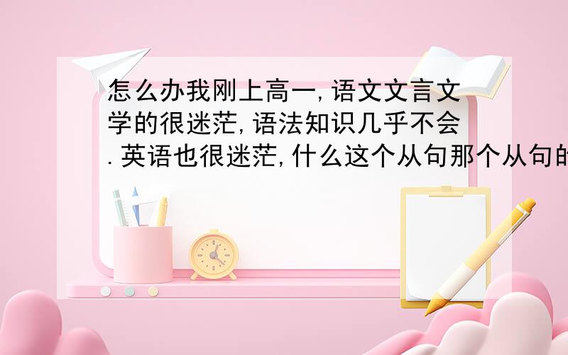 怎么办我刚上高一,语文文言文学的很迷茫,语法知识几乎不会.英语也很迷茫,什么这个从句那个从句的,听得头晕晕的...