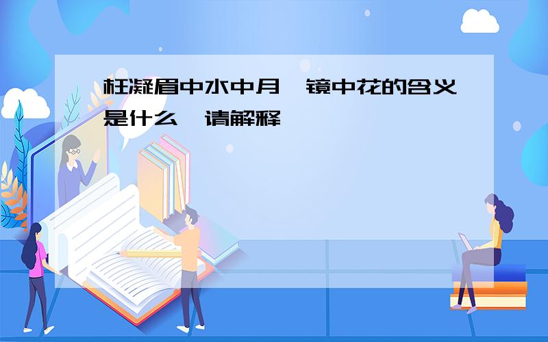 枉凝眉中水中月,镜中花的含义是什么,请解释