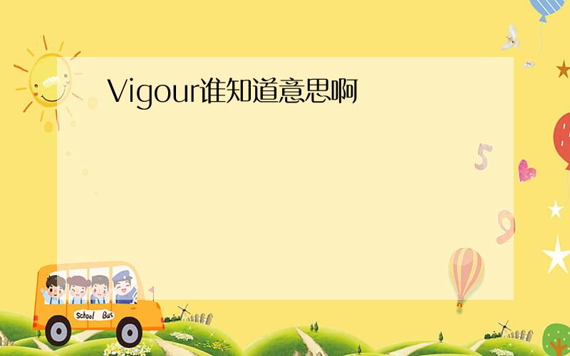 Vigour谁知道意思啊