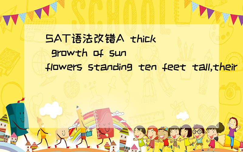 SAT语法改错A thick growth of sunflowers standing ten feet tall,their brown heads drooped over the fence with the weight of their seeds,A.standing ten feet tall,their brown heads droopingB.stood ten feet tall,their brown heads drooping 选什么?