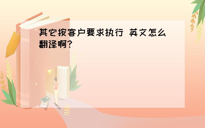 其它按客户要求执行 英文怎么翻译啊?