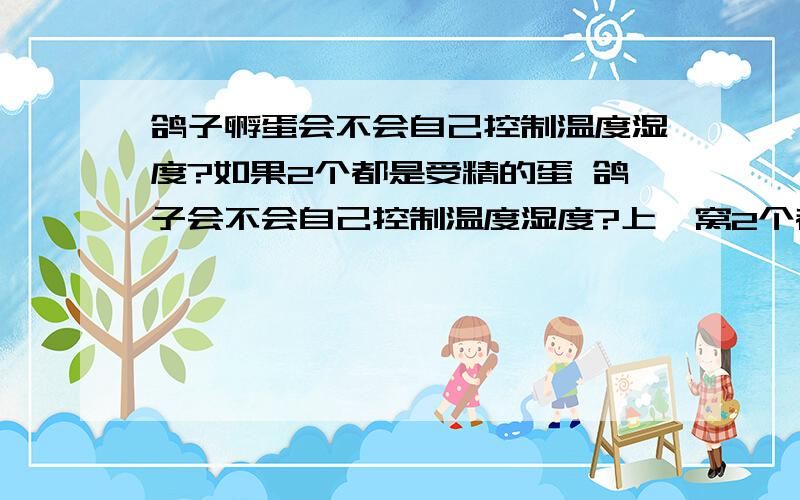 鸽子孵蛋会不会自己控制温度湿度?如果2个都是受精的蛋 鸽子会不会自己控制温度湿度?上一窝2个都有受精怎么孵不出来?