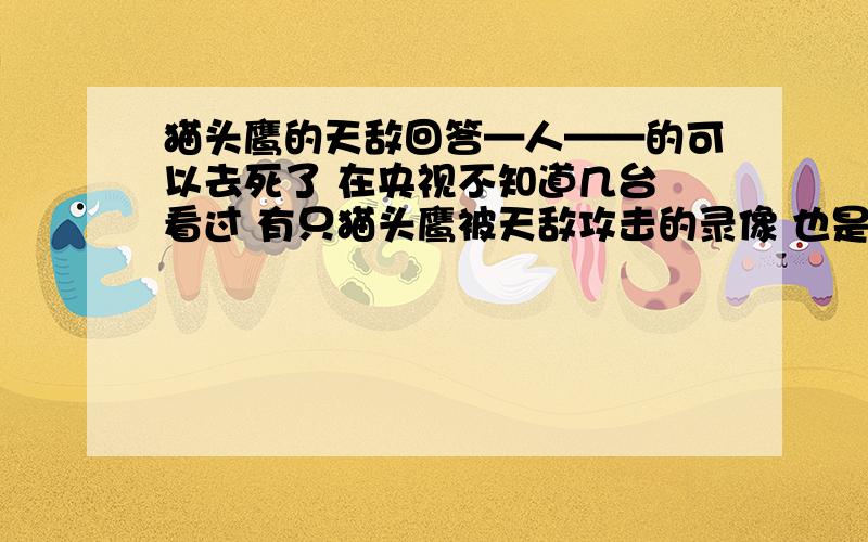 猫头鹰的天敌回答—人——的可以去死了 在央视不知道几台 看过 有只猫头鹰被天敌攻击的录像 也是猛禽 叫什么忘了 知道的朋友说下别说没有天敌之类的话 了