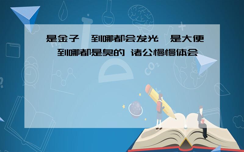 是金子,到哪都会发光,是大便,到哪都是臭的 诸公慢慢体会