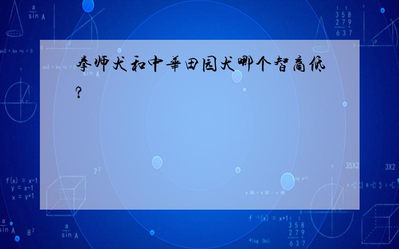 拳师犬和中华田园犬哪个智商低?