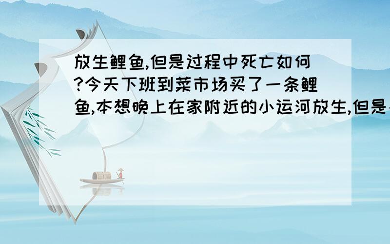 放生鲤鱼,但是过程中死亡如何?今天下班到菜市场买了一条鲤鱼,本想晚上在家附近的小运河放生,但是由于最近是汛期,河水被抽掉到可以见底,于是决定明日到单位附近的河里放生,但是鱼在晚