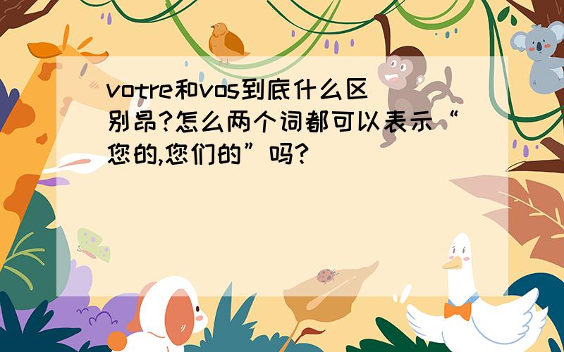 votre和vos到底什么区别昂?怎么两个词都可以表示“您的,您们的”吗?