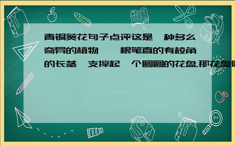 青铜葵花句子点评这是一种多么奇异的植物,一根笔直的有棱角的长茎,支撑起一个圆圆的花盘.那花盘微微下垂或是微微上扬,竟如人的笑脸.夜幕降临,月色朦胧,一地的葵花静穆地站立着,你会