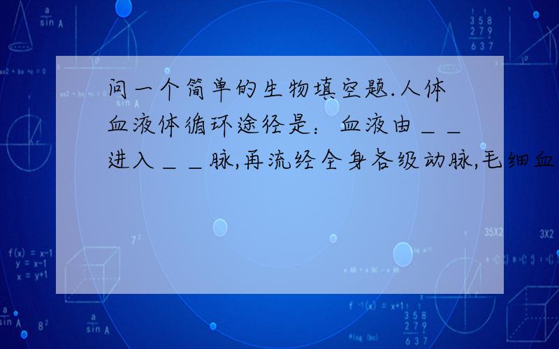 问一个简单的生物填空题.人体血液体循环途径是：血液由＿＿进入＿＿脉,再流经全身各级动脉,毛细血管和各级静脉,最后汇集到＿＿脉,流回到＿＿.问题中的＿＿分别填写什么?