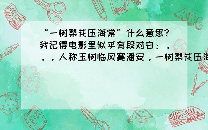 “一树梨花压海棠”什么意思?我记得电影里似乎有段对白：。。。人称玉树临风赛潘安，一树梨花压海棠。。。。 在这里怎么理解？