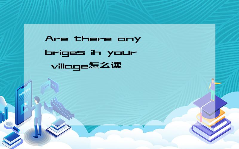 Are there any briges ih your village怎么读