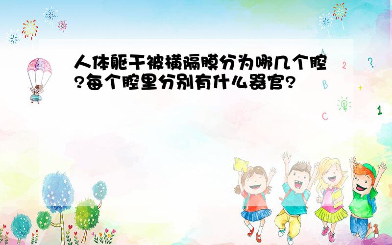 人体躯干被横隔膜分为哪几个腔?每个腔里分别有什么器官?