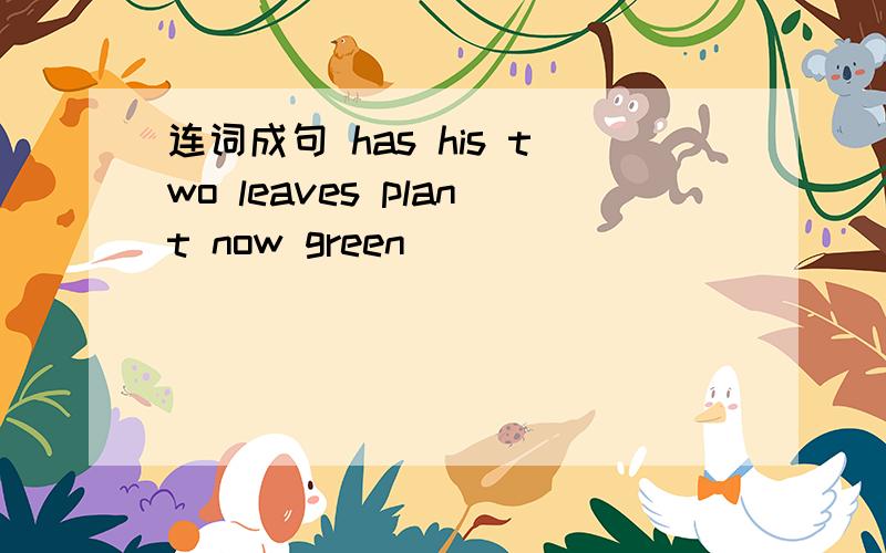 连词成句 has his two leaves plant now green