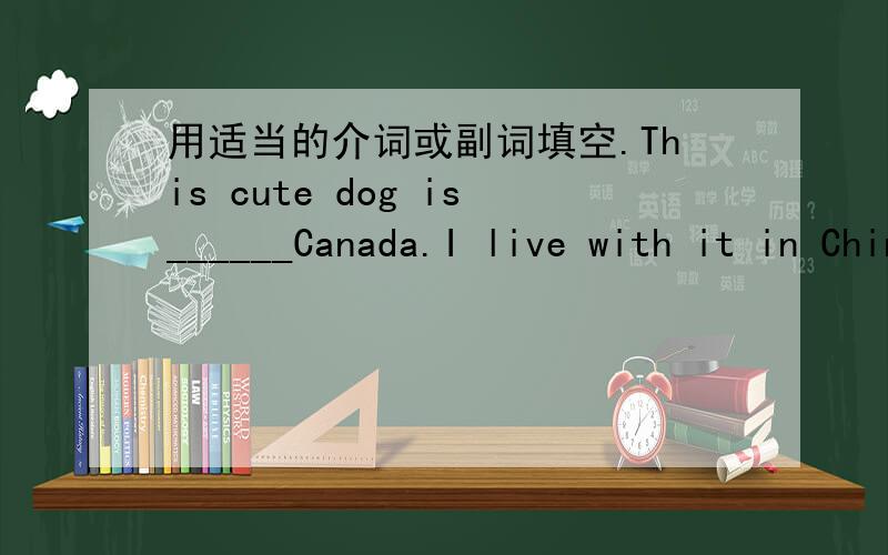 用适当的介词或副词填空.This cute dog is______Canada.I live with it in China now.Dolphins are very smart.They can play______balls in the water.Most people work______the day and sleep______night.I always get______at 6：30 in the morning.Wal