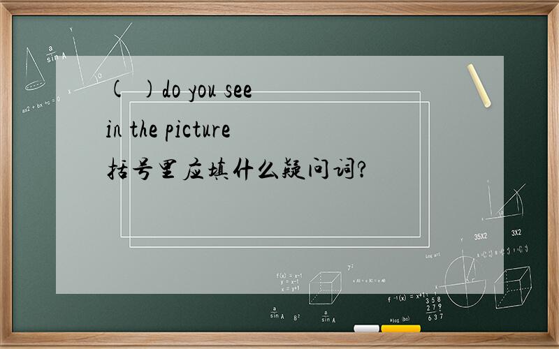 ( )do you see in the picture括号里应填什么疑问词?