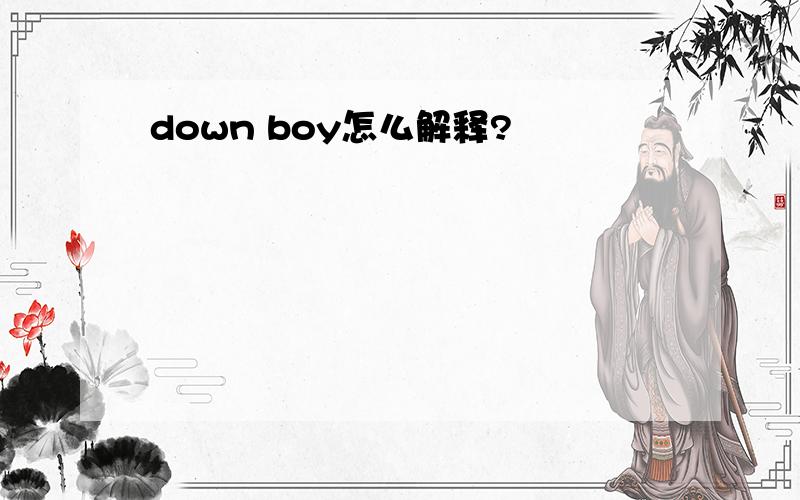 down boy怎么解释?