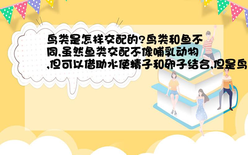 鸟类是怎样交配的?鸟类和鱼不同,虽然鱼类交配不像哺乳动物,但可以借助水使精子和卵子结合,但是鸟类和鱼类一样可以说是无法接触式的交配,但是鸟类在陆地上,不能借助外物,鸟类怎样交配