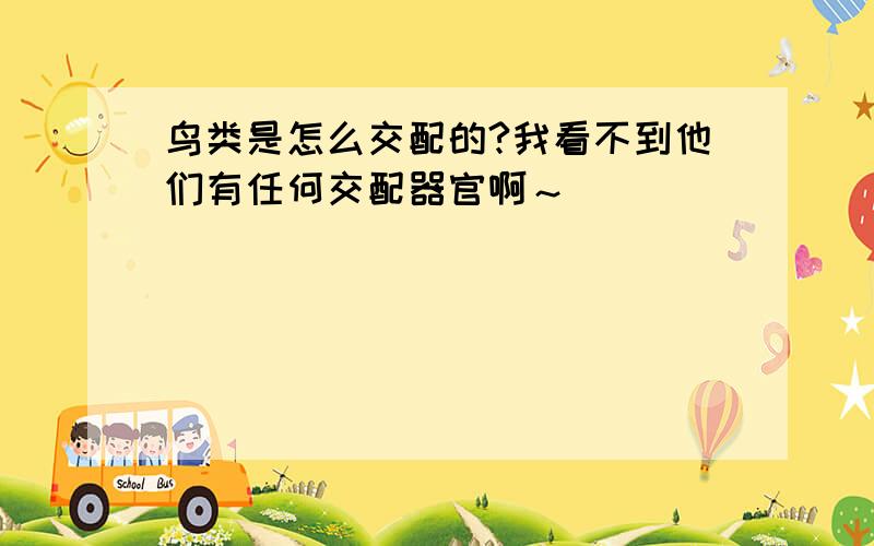 鸟类是怎么交配的?我看不到他们有任何交配器官啊～