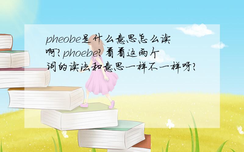 pheobe是什么意思怎么读啊?phoebe?看看这两个词的读法和意思一样不一样呀？