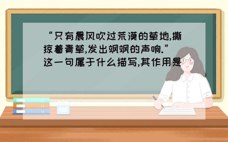 “只有晨风吹过荒漠的草地,撕掠着青草,发出飒飒的声响.”这一句属于什么描写,其作用是