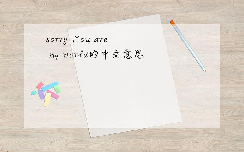 sorry ,You are my world的中文意思