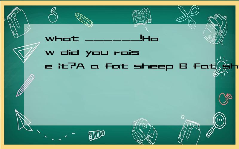 what ______!How did you raise it?A a fat sheep B fat sheep选B,怎么看出是复数.
