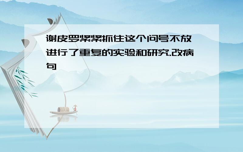 谢皮罗紧紧抓住这个问号不放,进行了重复的实验和研究.改病句