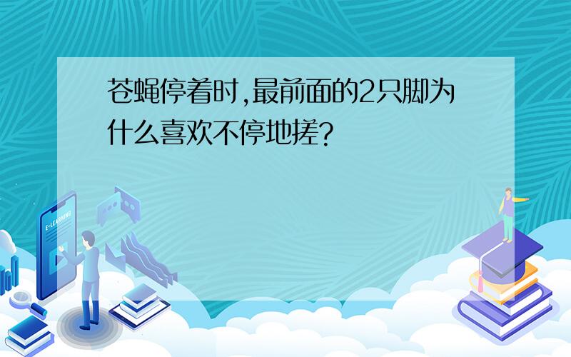 苍蝇停着时,最前面的2只脚为什么喜欢不停地搓?