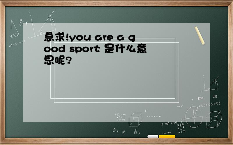 急求!you are a good sport 是什么意思呢?