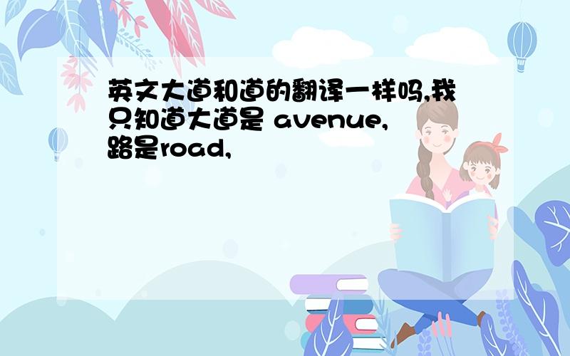 英文大道和道的翻译一样吗,我只知道大道是 avenue,路是road,